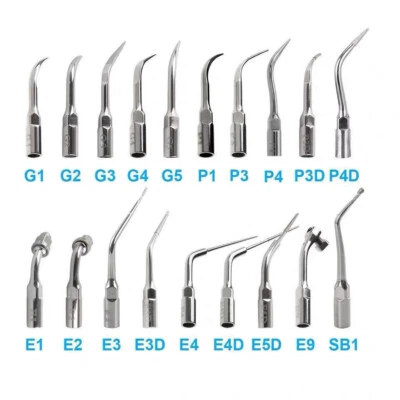 5Pcs Dental Ultrasonic Scaler Tips Scaling Endo Perio G P E Fit for EMS NSK - Image 1 of 4