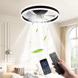 Ovshnrr Ceiling Fans with Lights 19.7in/50cm Reversible Fan Remote & APP Control - Picture 1 of 7