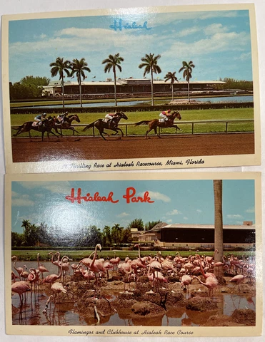 Vintage Horse Racing Postcards Hialeah Park Racecourse Miami Florida Lot Of 2 Cover