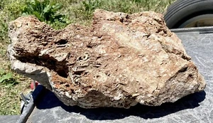 BRILLIANT* 30 Lb Crystalized Sea Fossil Conglomerate-Druzy ~Colorful Red Matrix - Picture 1 of 9