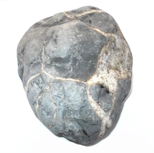 Septarian Dragon Stone Mineral Specimen Calcite Aragonite Crystal 8.9kg (1) - Picture 1 of 7