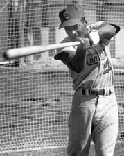 1967 St. Louis Cardinals CURT FLOOD Glossy 8x10 Photo Print Baseball Poster