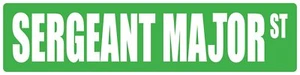 Sergeant Major 6"h X 24"w Occupational Street Plastic Sign - Picture 1 of 1