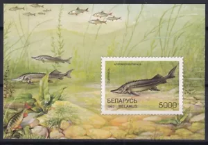Belarus 1997 Fish MNH Block - Picture 1 of 1