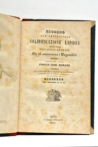 ANGELO SOLIDIFICAZIONE LAPIDEA Organico-Animali Momification PISA 1839 - Picture 1 of 9