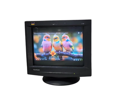 Viewsonic E70fb 17" SXGA Flat CRT Monitor Black, VCDTS22355-5M , READ Q_ - Image 1 of 4