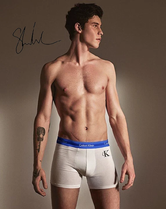SHAWN MENDES SIGNED AUTOGRAPHED REPRINT 8x10 11X17 13X19 POSTER SHIRTLESS PHOTO - Image 1 of 1