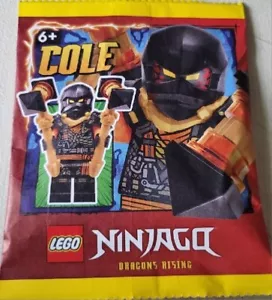 LEGO Ninjago - Cole - Set Sacchetti di Carta - 892408 njo888 - Nuovo e Sigillato 2024 - Foto 1 di 1