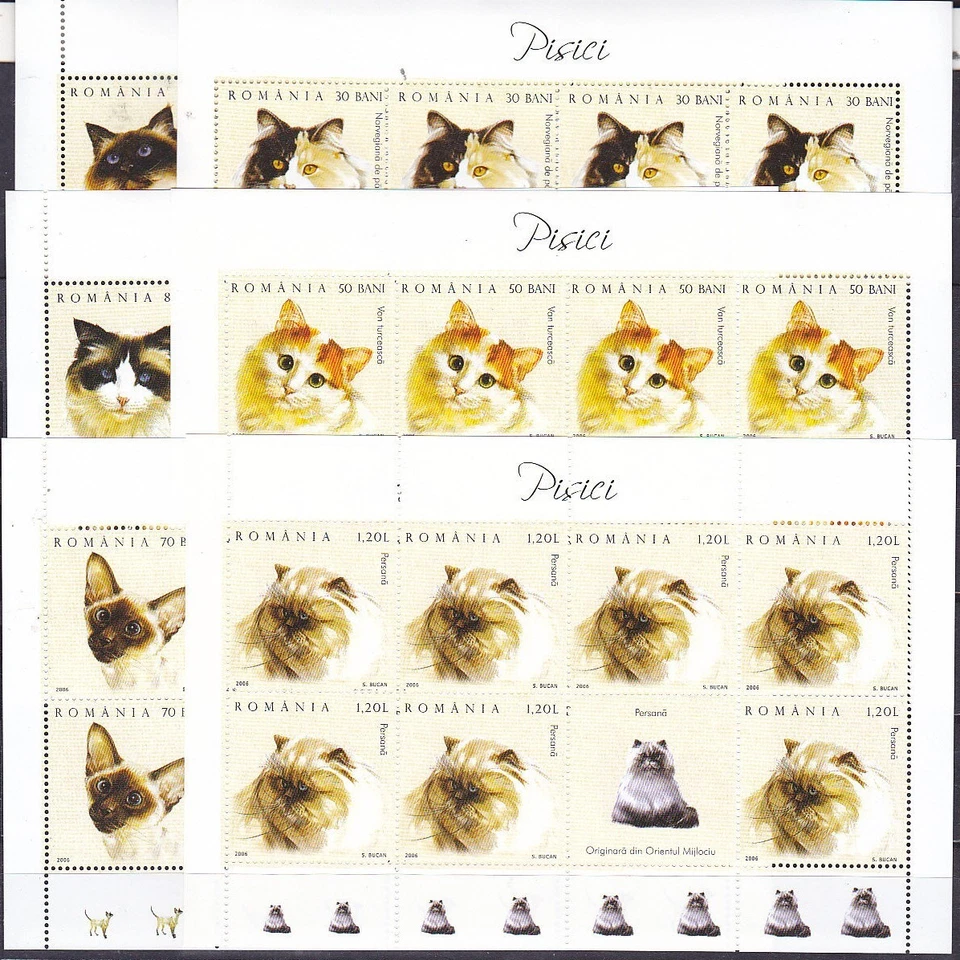 Roumanie 2006 Chats Norvégien Forêt Turc Van Siamois Ragdoll Persan Birman 4 - Photo 1/1