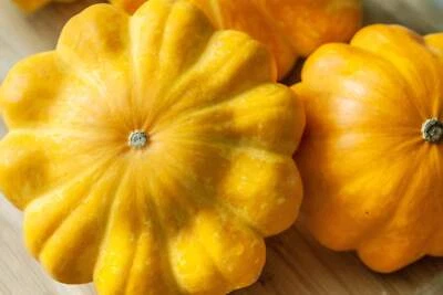 SEEDVILLE USA 10 Golden YELLOW Bush SCALLOP SQUASH (Patty Pan / Paty Pan / Squanter Squash) Su