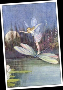 Fairy Butterfly + Dragonfly Night Flight over Lily Pond : FINE ART PRINT 12"X18" - Picture 1 of 7