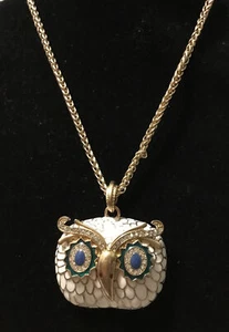 Gold Finish Chain blue eyes Owl Design 5 X Magnifying Pendant Necklace - Picture 1 of 6