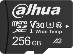 6923169750651 Karta pamięci 256GB DAHUA TF-W100-256GB - Zdjęcie 1 z 1