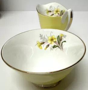 Jarra de leche de prímula amarilla Royal Albert vintage y azucarero porcelana de hueso 1955 - Imagen 1 de 16