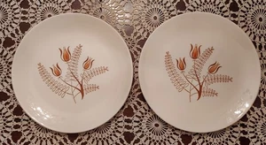 2 Vintage MCM 1950s Royal China Tanglewood Dinner Plates 9.5" Farmhouse USA - Picture 1 of 9