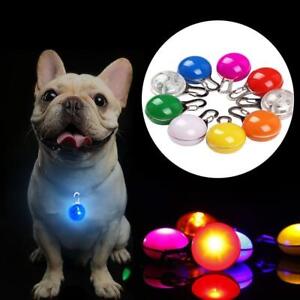 LED Waterproof Pet Dog Cat Collar Night Clip Tag Flashing Luminous Light U0Y0