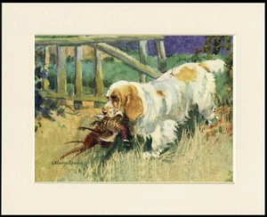 CLUMBER SPANIEL UND FASAN VINTAGE STIL HUND KUNSTDRUCK RAHMENFERTIG MONTIERT - Bild 1 von 1