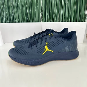 Nike Air Jordan Vapor Edge NBY Turf Shoes Michigan Wolverines CV1670-400 Size 12 - Picture 1 of 8