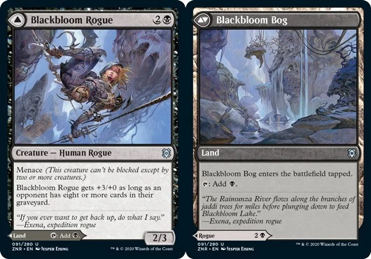 x1 Blackbloom Rogue // Blackbloom Bog - Zendikar Rising - NM - MTG - Image 1 of 1