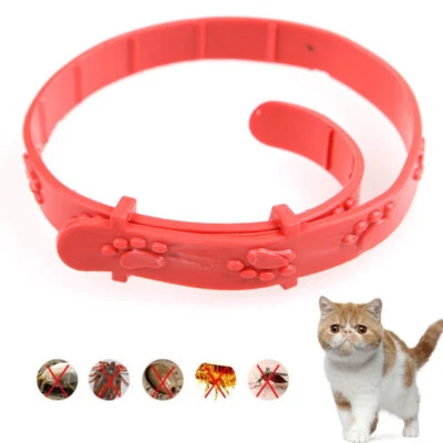 MARKENLOS Zeckenhalsband Anti Insekten Floh Haustier Katzen Hund 8 Monate Zeckenschutz