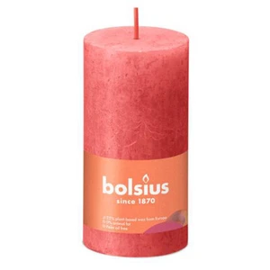 Bolsius Rústico Vela Muñón Rosa Flor 100/50mm - Imagen 1 de 1