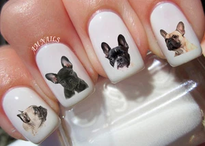 Französische Bulldogge Nail Art Aufkleber Transfers Aufkleber 54er Set - A1294 - Bild 1 von 2