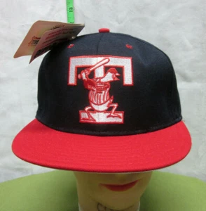 TOLEDO MUD HENS baseball hat Muddy circa 1994 fitted cap NWT vtg Detroit Tigers - Picture 1 of 4