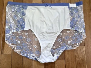 Plus 22/24 Lane Bryant Cacique Stretch Lace Full Brief Panty Lilac Embroidered - Picture 1 of 7