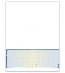 Laser Security Bottom Blank Laser Check with Vouchers by Deluxe-Nebs / SLB833 - Picture 1 of 1