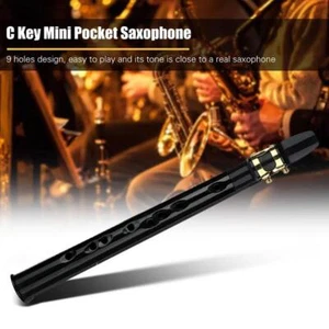 🔥Mini Pocket Saxophone C Key Sax Woodwind Instrument with Carrying - Bild 1 von 11