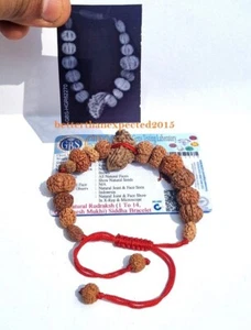 SIDDH SIDDHA MALA BRACELET 1 TO 14 MUKHI RUDRAKSHA GAURI SHANKAR GANESHA -LAB - Picture 1 of 7