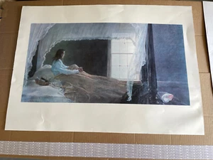ANDREW WYETH ""CHAMBERED NAUTILUS"" KUNSTDRUCK VINTAGE DEKOR SAMMLUNG - Bild 1 von 10