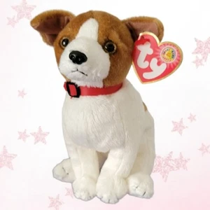 ⭐️ KIPPY ⭐️ BBOM - TY Beanie Babies of the Month - MWMT'S. 📦 ¡ENVÍO GRATUITO! - Imagen 1 de 6