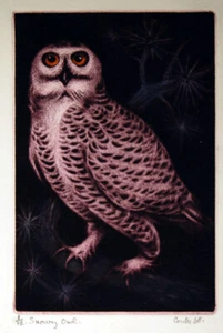 Jack Coutu Snowy Owl Etching and Christmas Card 1968 - Picture 1 of 8