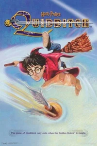 TUBED! Harry Potter Original Yr 2000 QUIDDITCH Poster 24” x 36” Mead No: 2330 - Picture 1 of 3