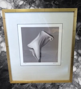 "Calla Lily I" Silver Gelatin Photo Signed/Numbered Matted Framed - Picture 1 of 4