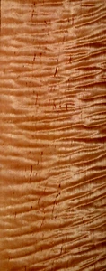 VERY AWESOME BOARD!!! LUTHIER FIGURE! GUITAR QUILTED TIGER CURLY MAPLE LUMBER - Picture 1 of 5