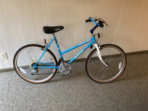 ross eurotour women's bike value