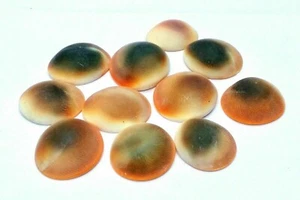 11 PIECES + 1 FREE GOMATI CHAKRA GOMTI CHAKRA 100% NATURAL BEADS ENERGIZED - Picture 1 of 3