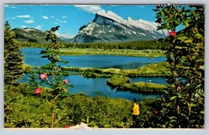 Mount Rundle And Vermilion Lake, Banff National Park Alberta, 1978 Postcard - Bild 1 von 2