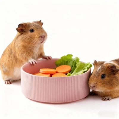 Tigela de legumes porquinho-da-índia, cerâmica rosa 6 polegadas peso pesado sem ponta pequena animação... - Imagem 1 de 4