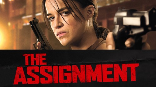 The Assignment (2016) Used Blu-ray/DVD 2 Disk Good Condition | eBay