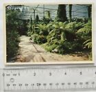 1961 Portugese Postcard Cold Greenhouse, Stretch Of The Main Alley