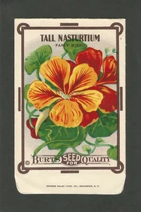Vintage Seed Packet (unused) - Burt's Seed for Quality - Tall nasturtium - Picture 1 of 2