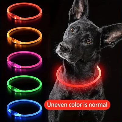 USB Rechargeable LED Dog Pet Collar Flashing Luminous Safety Night Light Up UK