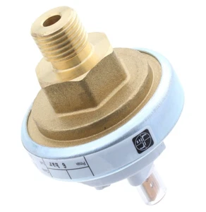 Potterton Ecotherm EG EGC EGCV Water Pressure Switch 10/18669 New Genuine - Picture 1 of 8
