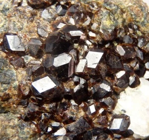 GARNET var. ANDRADITE lustrous crystals ! AZERBAIJAN Caucasus - Dashkesan /pf846 - Picture 1 of 12