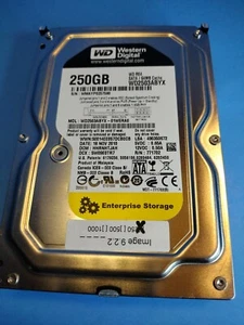 WD Enterprise RE4 250GB 7200RPM 3Gbps SATA II Internal 3.5in Desktop Hard Drive - Picture 1 of 4