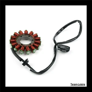 Stator Allumage pour BMW S1000R K47 de 2014 2015 2016 2017 - NEUF - Photo 1/4