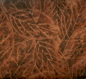 Falling Leaves brown rust Riverwoods flannel 35 inch piece - Picture 1 of 1